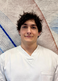 ALESSANDRO ARIOLI