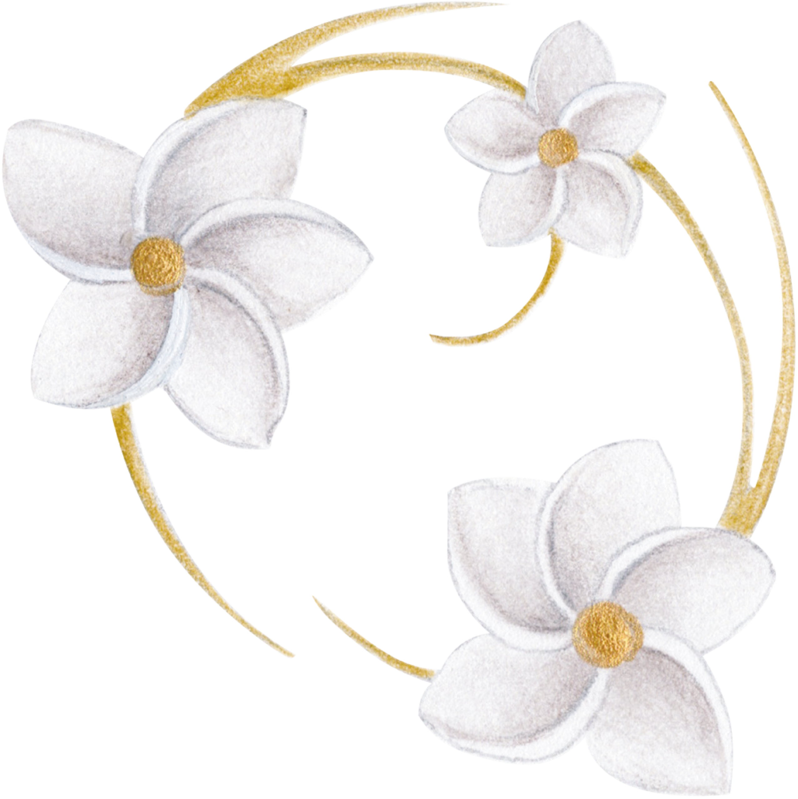 Abbraccio 23 Tradate